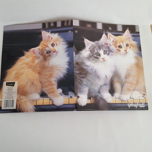 2-Pocket Folder Class Act Paper Portfolio Kittens Keith Kimberlin - Picture 8 of 10